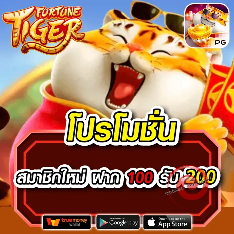 สล็อต tigerwins